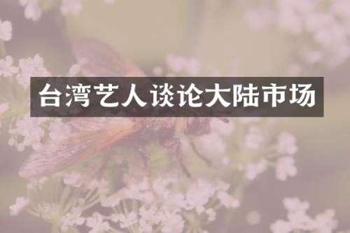 台湾艺人谈论大陆市场