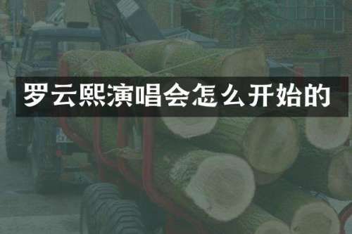 罗云熙演唱会怎么开始的