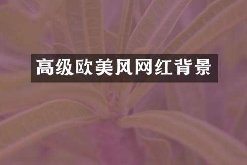 高级欧美风网红背景