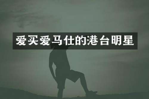 爱买爱马仕的港台明星