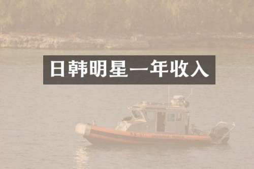 日韩明星一年收入