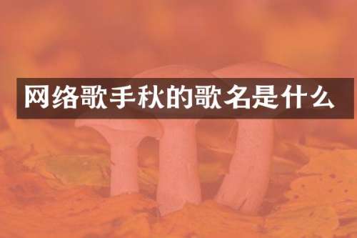网络歌手秋的歌名是什么