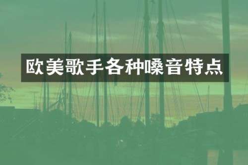 欧美歌手各种嗓音特点