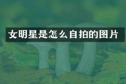 女明星是怎么自拍的图片