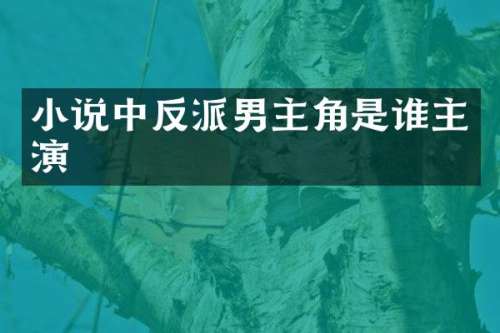 小说中反派男主角是谁主演