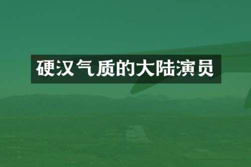 硬汉气质的大陆演员
