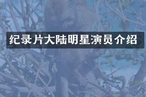 纪录片大陆明星演员介绍