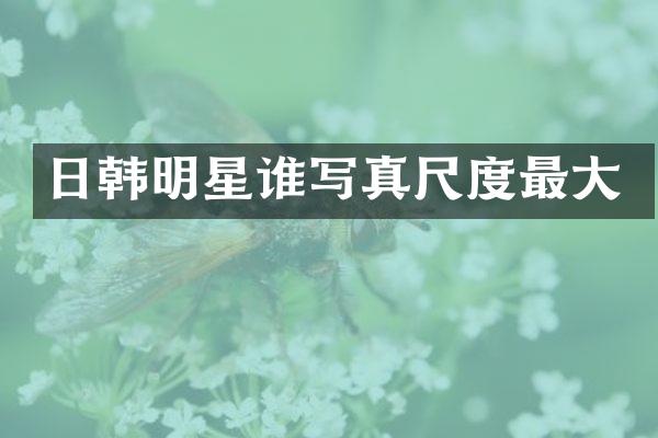 日韩明星谁写真尺度最大