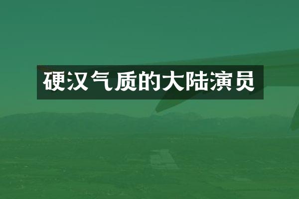 硬汉气质的大陆演员