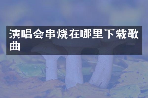 演唱会串烧在哪里下载歌曲