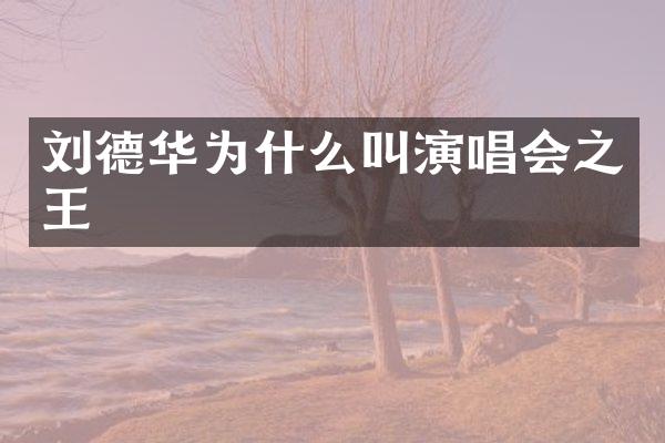 刘德华为什么叫演唱会之王