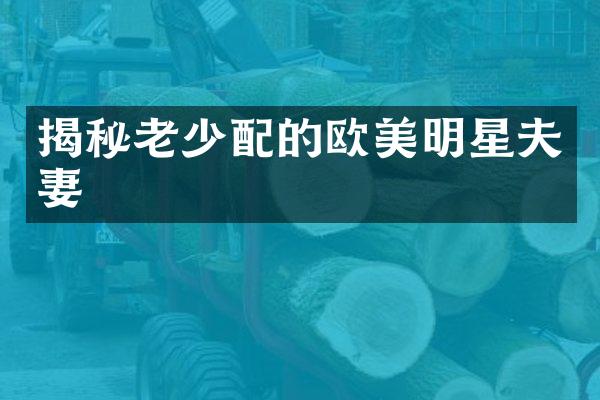 揭秘的欧美明星夫妻