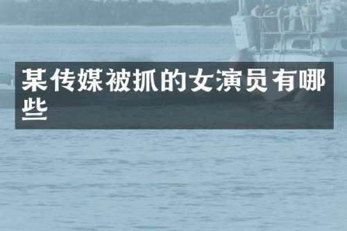 某传媒被抓的女演员有哪些