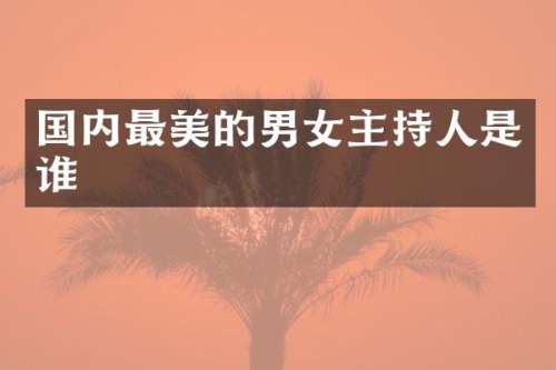 国内最美的男女主持人是谁