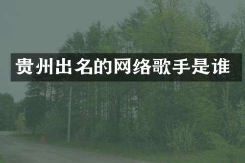 贵州出名的网络歌手是谁