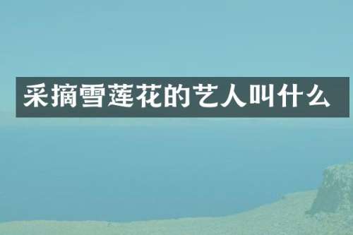 采摘雪莲花的艺人叫什么