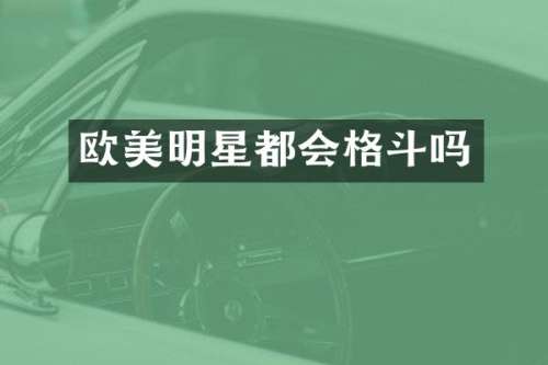 欧美明星都会格斗吗
