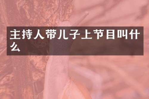 主持人带儿子上节目叫什么