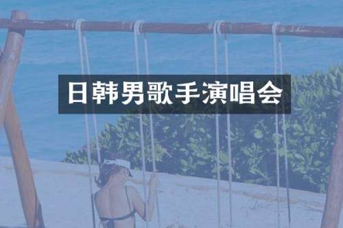 日韩男歌手演唱会