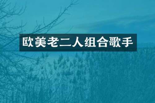 欧美老二人组合歌手