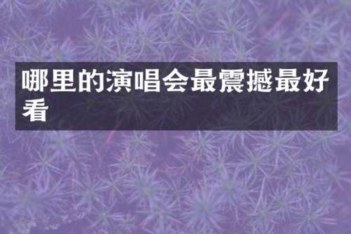 哪里的演唱会最震撼最好看