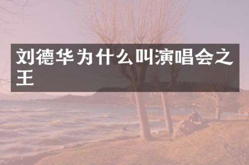刘德华为什么叫演唱会之王