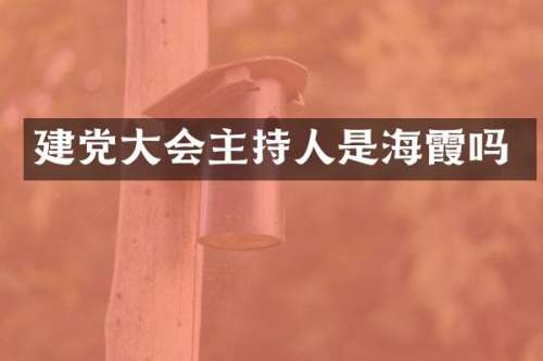 大会主持人是海霞吗