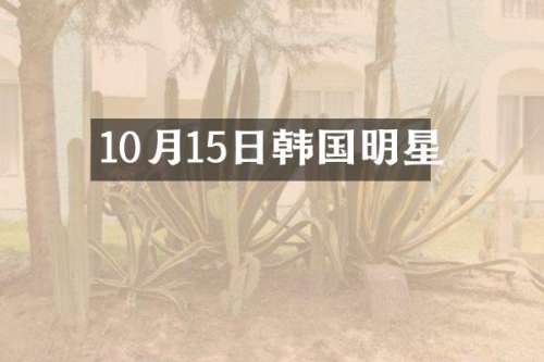 10月15日韩国明星