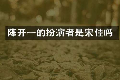 陈开一的扮演者是宋佳吗