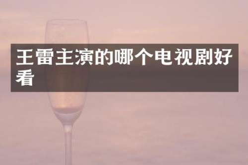 王雷主演的哪个电视剧好看