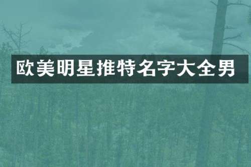 欧美明星推特名字大全男