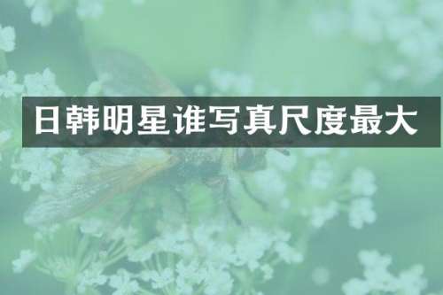 日韩明星谁写真尺度最大