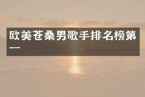 欧美苍桑男歌手排名榜第一