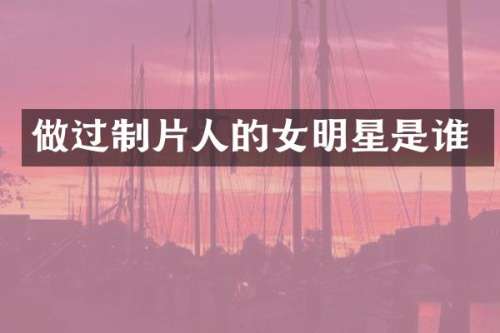 做过制片人的女明星是谁