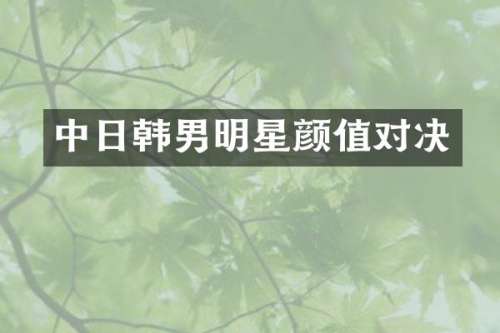 中日韩男明星颜值对决