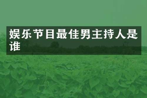 娱乐节目最佳男主持人是谁