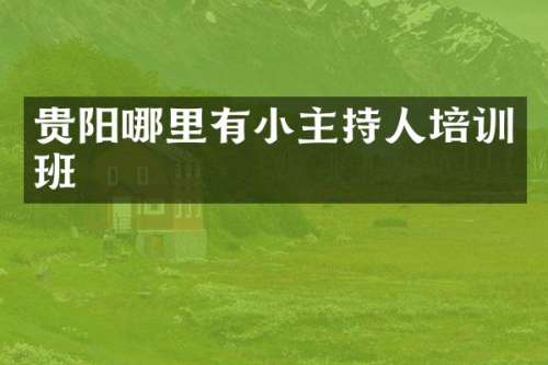 贵阳哪里有小主持人培训班