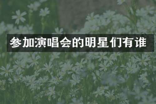 参加演唱会的明星们有谁