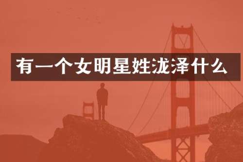 有一个女明星姓泷泽什么