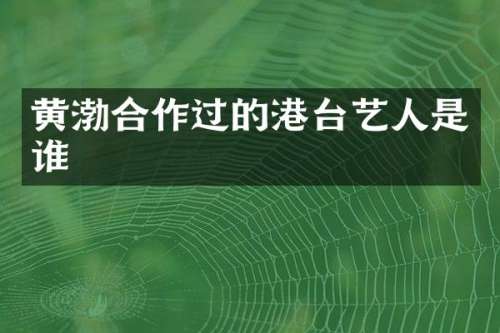 黄渤合作过的港台艺人是谁