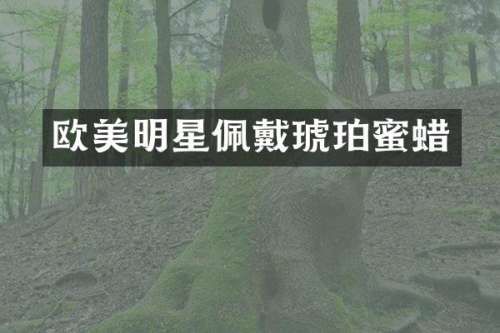 欧美明星佩戴琥珀蜜蜡