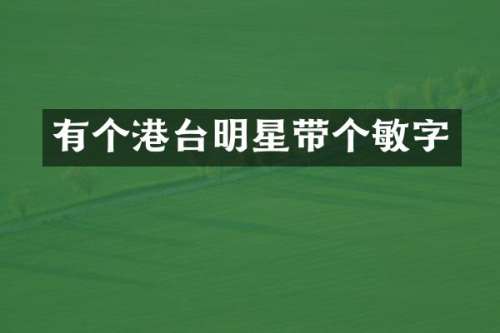 有个港台明星带个敏字