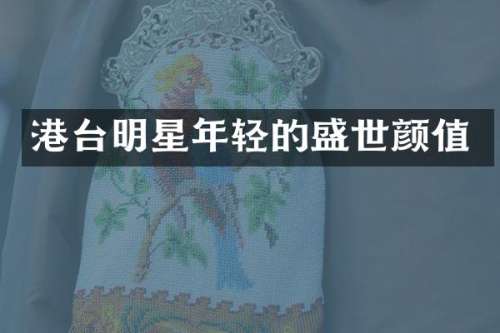 港台明星年轻的盛世颜值