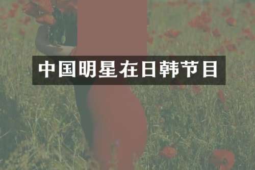 中国明星在日韩节目