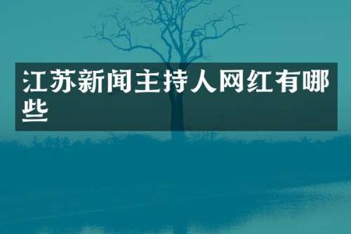 江苏新闻主持人网红有哪些