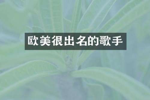 欧美很出名的歌手
