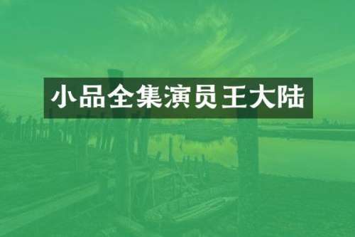 小品全集演员王大陆