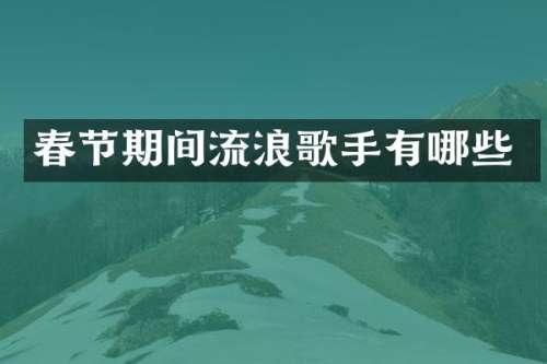 春节期间流浪歌手有哪些