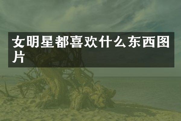 女明星都喜欢什么东西图片