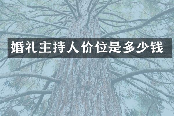 婚礼主持人价位是多少钱